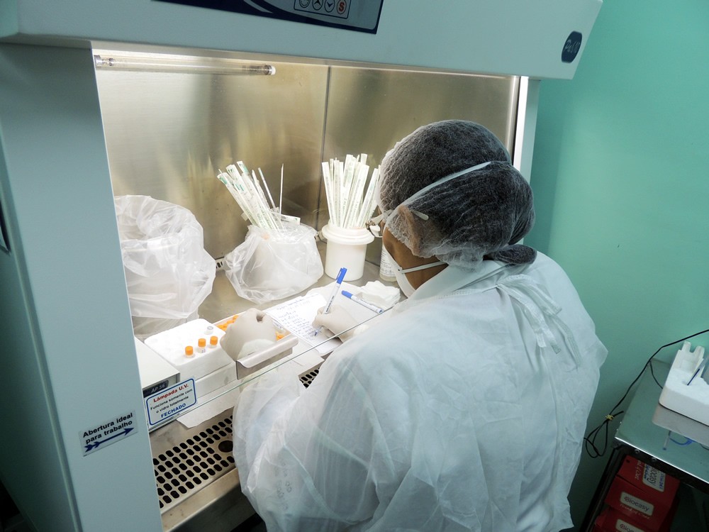 Oportunidades em Macapá: Sine anuncia vagas para diversas áreas, de técnico a pescador